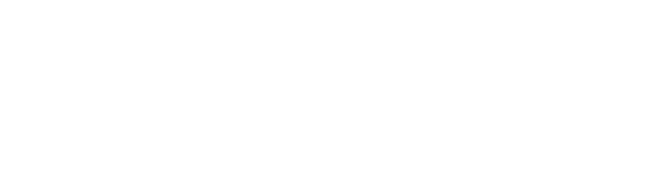 Grupo Intus